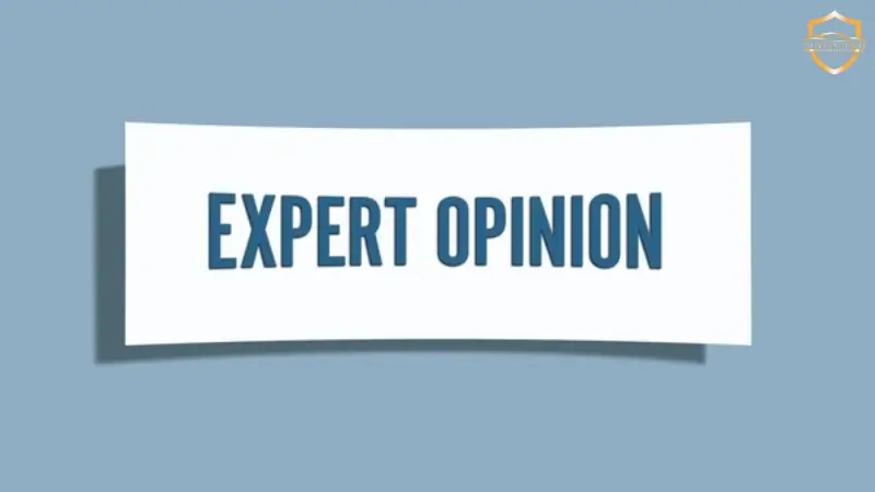 Expert Opinion